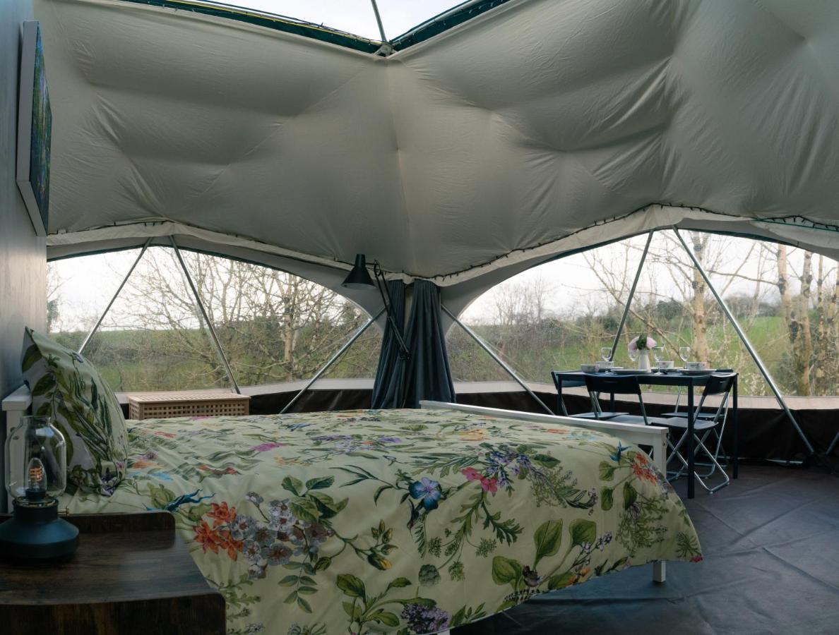 Little River Glamping Ballymoney Exterior foto