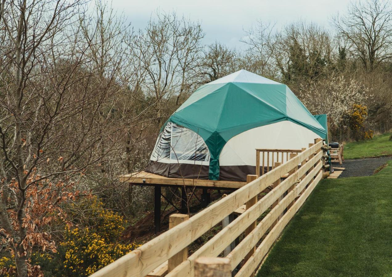 Little River Glamping Ballymoney Exterior foto