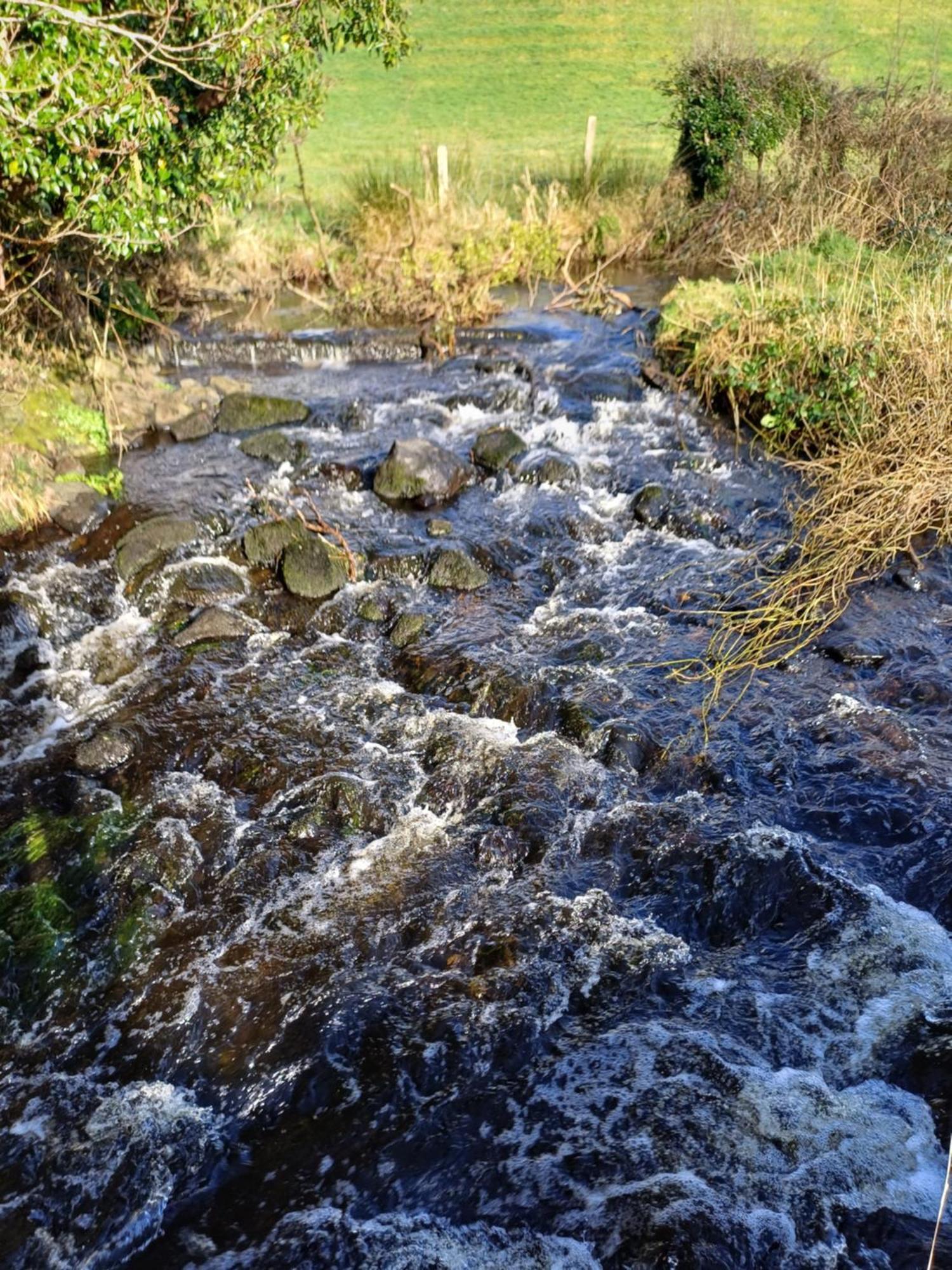 Little River Glamping Ballymoney Exterior foto