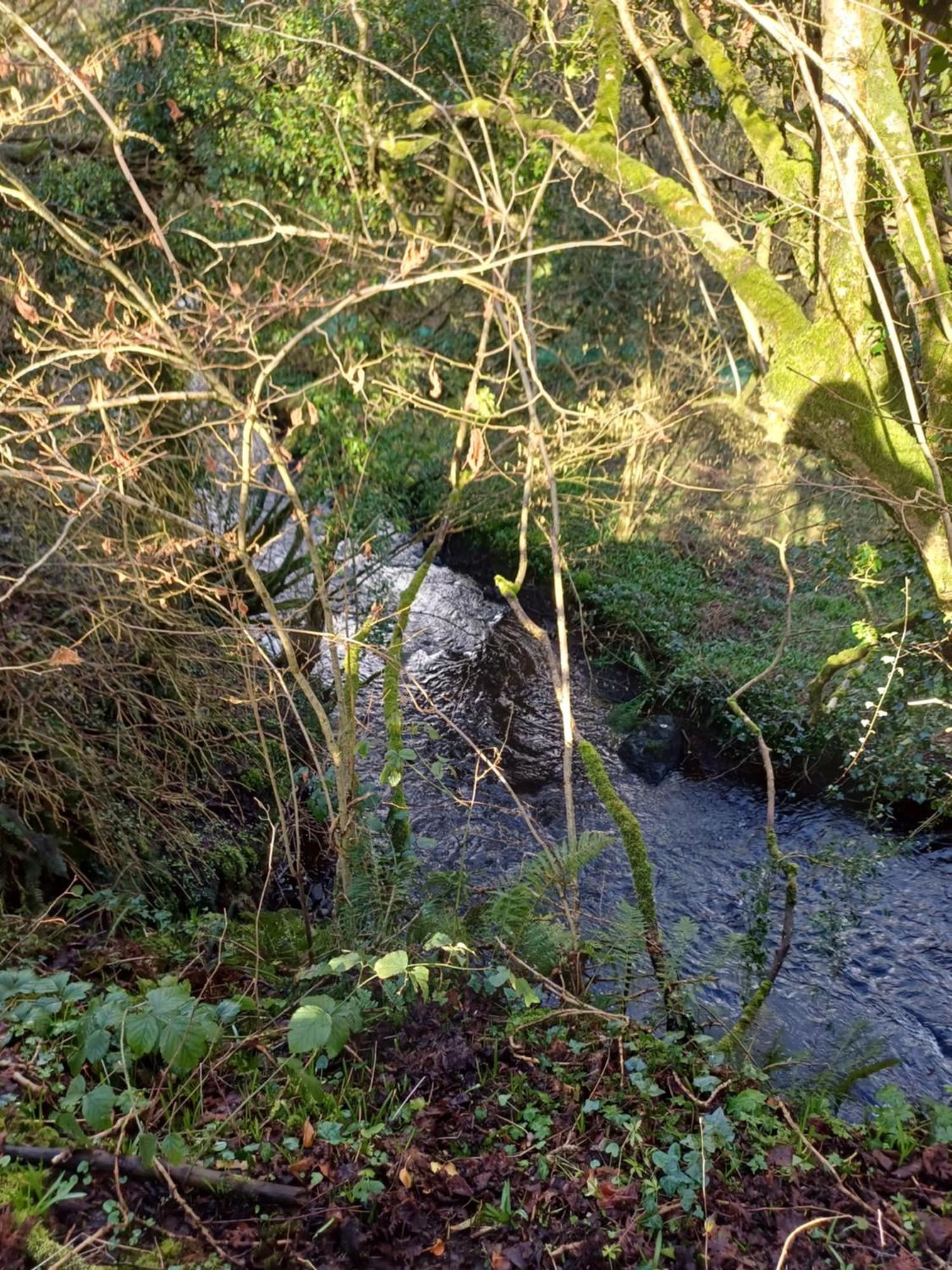 Little River Glamping Ballymoney Exterior foto