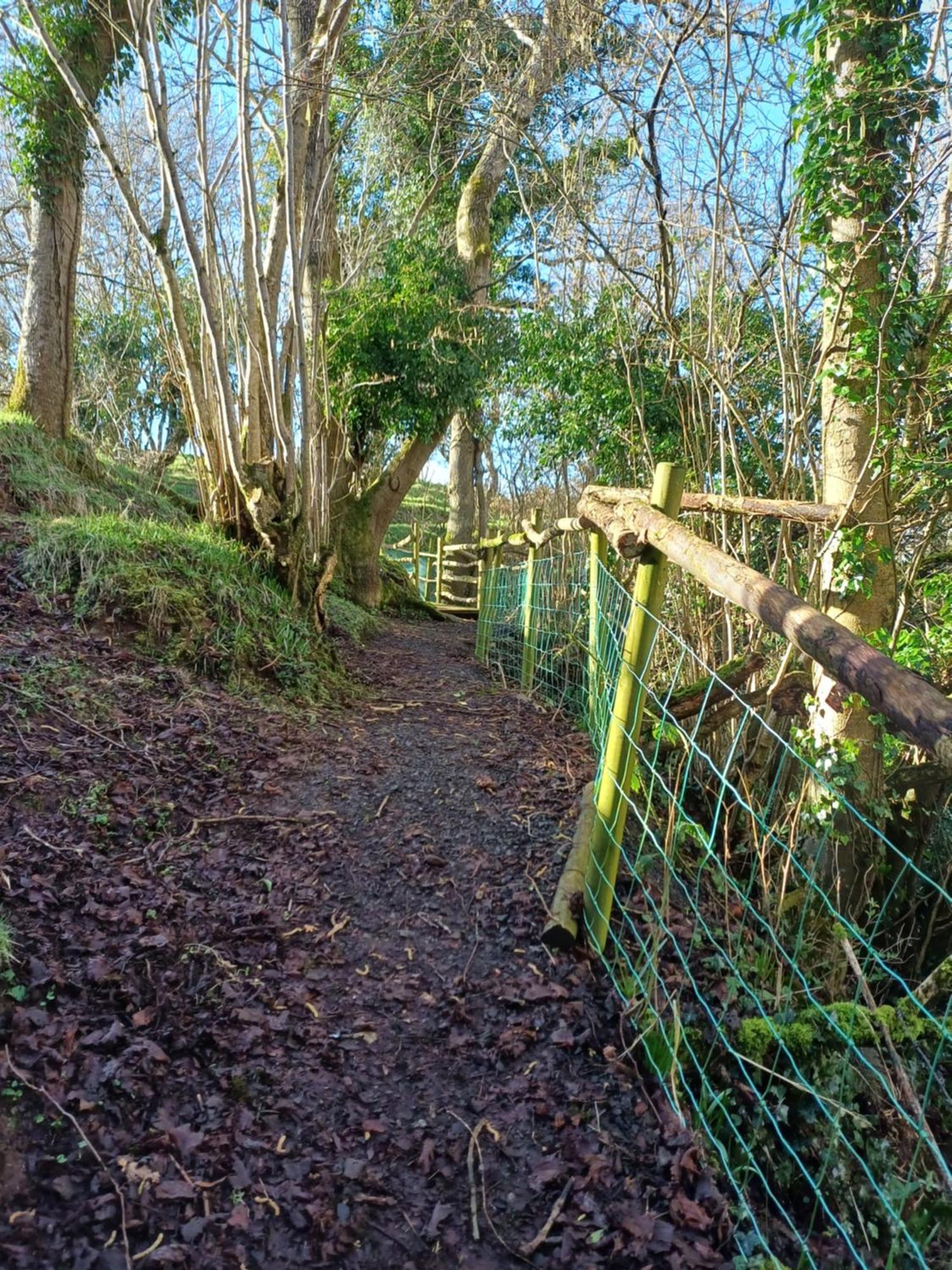 Little River Glamping Ballymoney Exterior foto