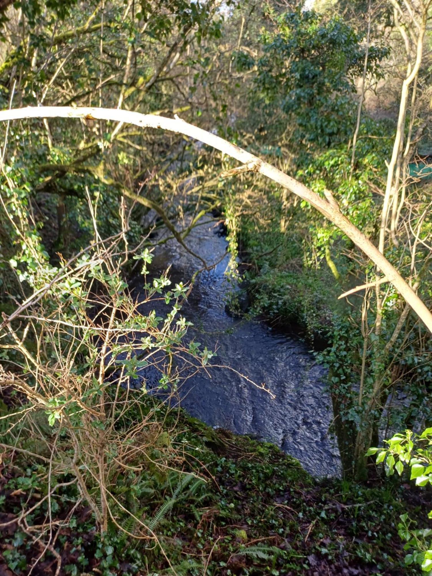 Little River Glamping Ballymoney Exterior foto